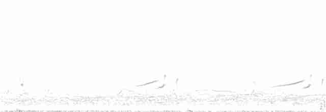 potápka černokrká - ML343891111