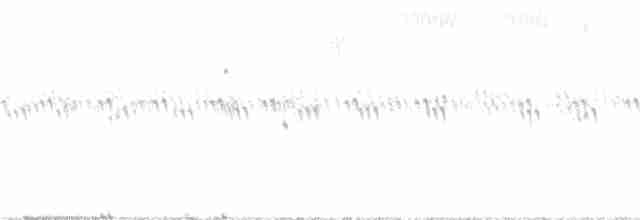 Кузнечиковая овсянка-барсучок - ML343891861