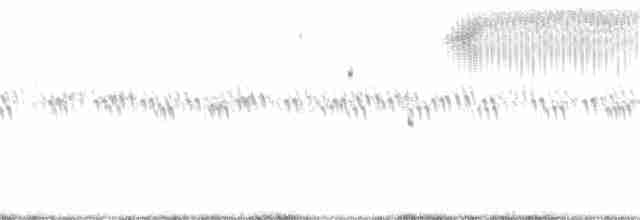 Кузнечиковая овсянка-барсучок - ML343891871