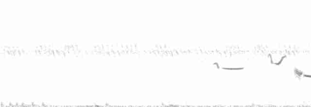 prærielerketrupial - ML343892071