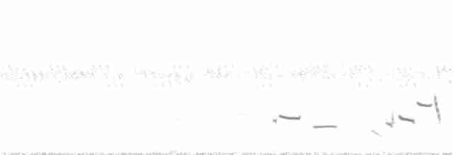 Western Meadowlark - ML343892101
