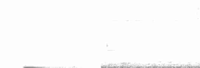 Búho Pescador de Ceilán - ML343925681