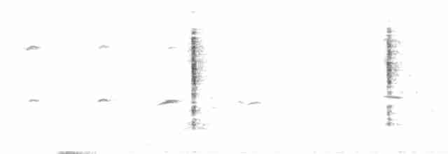 Blyth's Reed Warbler - ML343926621
