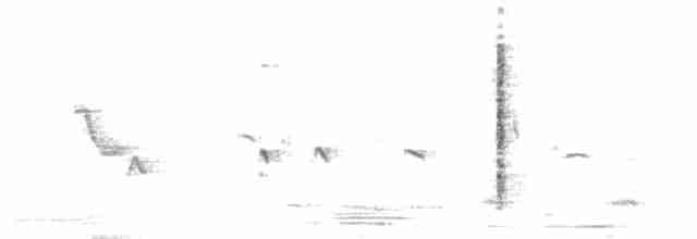 Blyth's Reed Warbler - ML343926631