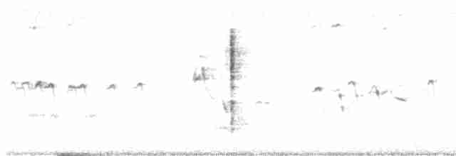 Blyth's Reed Warbler - ML343926641