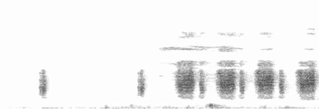Clamorous Reed Warbler - ML343927591