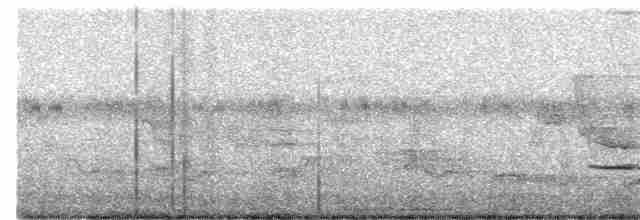 Striped Cuckoo - ML343977281