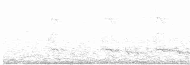 斑翅鳳頭鵑 - ML343981691