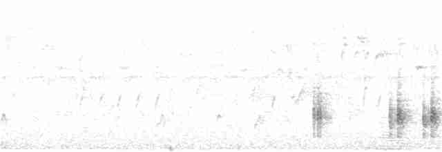 Great Reed Warbler - ML344018961