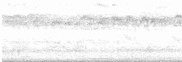 アメリカヤシアマツバメ - ML344141021