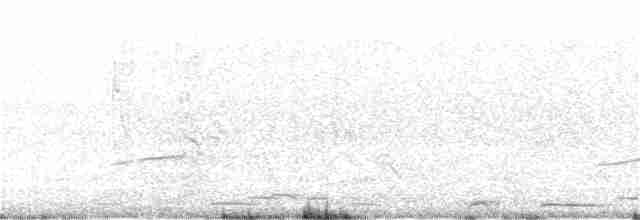 Fischadler (cristatus) - ML344144131
