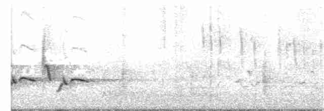 Каролинский крапивник - ML344190041