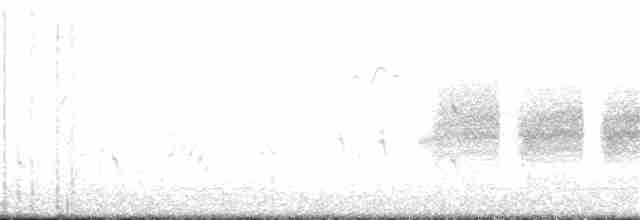 Kara Kuyruklu Bitkuşu - ML344261481