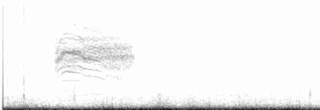 Kara Kuyruklu Bitkuşu - ML344261531