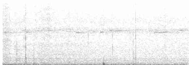 Tinamou noctivague - ML34426491