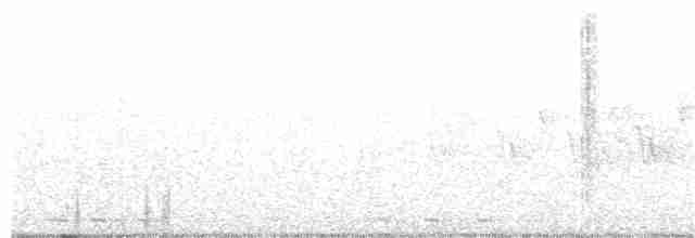 Black-billed Cuckoo - ML344292101