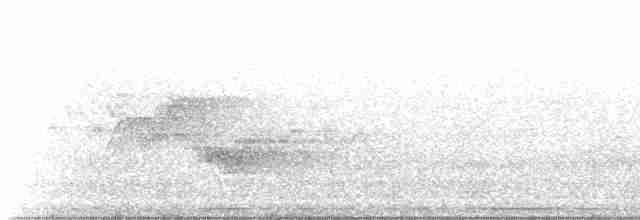 Cerulean Warbler - ML344336521