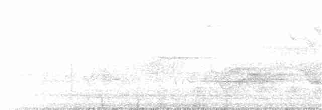 Cerulean Warbler - ML344338101