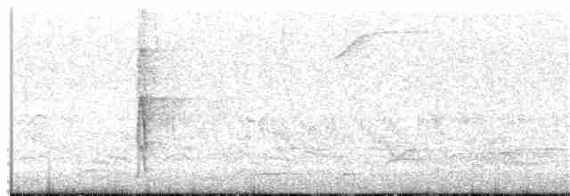 Great Spotted Woodpecker - ML344380251