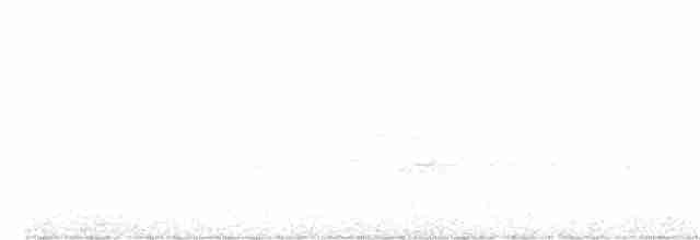 Бурый соловьиный дрозд - ML344477461