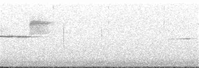 Kara Gözlü Junko (hyemalis/carolinensis) - ML344479241