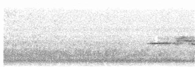 Дрізд-короткодзьоб плямистоволий - ML344518221