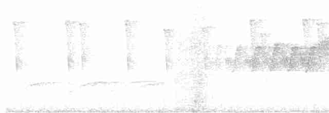 Cerulean Warbler - ML344572581