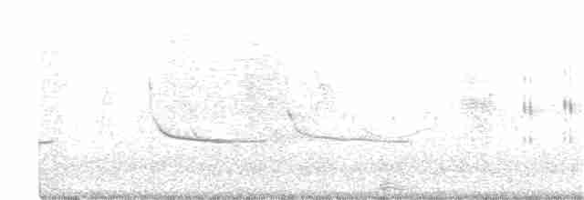 Troglodyte des marais - ML344640511