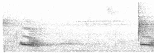 Channel-billed Toucan (Yellow-ridged) - ML344645901