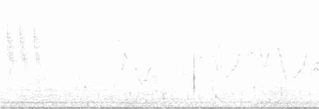 Тростниковый крапивник - ML344649391
