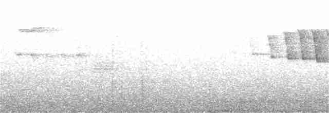 Малая вильсония - ML344654391