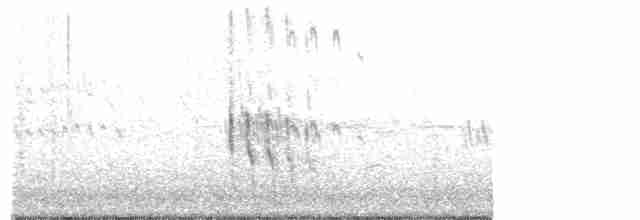 Короткоклювый бекасовидный веретенник (caurinus) - ML344686671