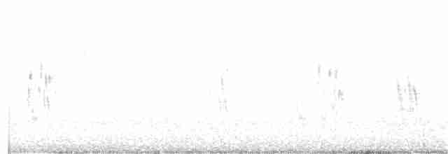 Hirondelle bicolore - ML344737131