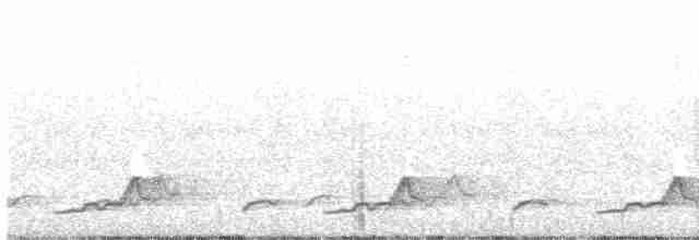Schwarzkehl-Nachtschwalbe - ML344787671