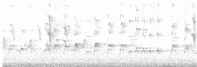 Kara Karınlı Islıkçı Ördek - ML344862991