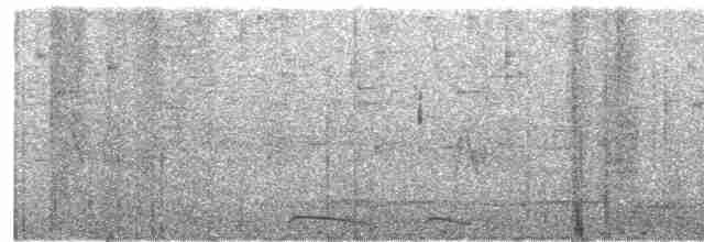Инкская земляная горлица - ML344881411