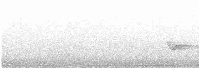 Kara Kanatlı Piranga - ML344882011