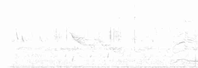 Common Merganser (North American) - ML344896221