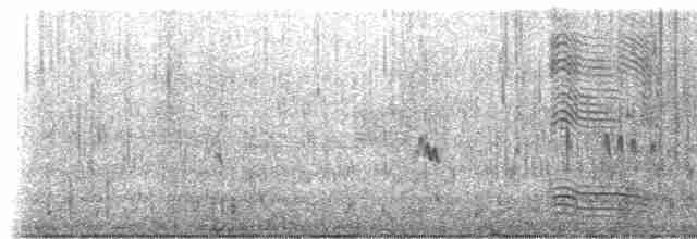 Common Merganser (North American) - ML344896531