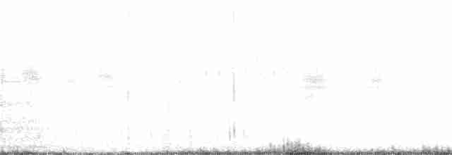 キタオビナシショウドウツバメ - ML344900671