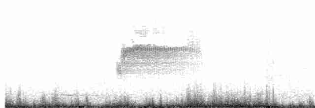 Тауї плямистий - ML344940341