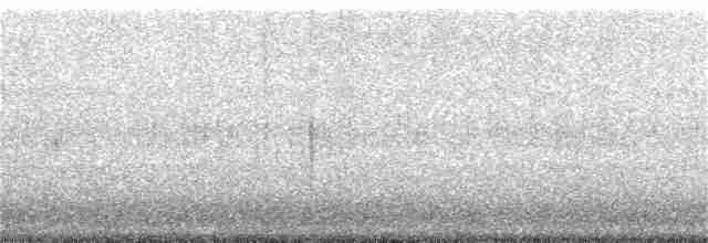 Чернокрылая пиранга - ML344971861