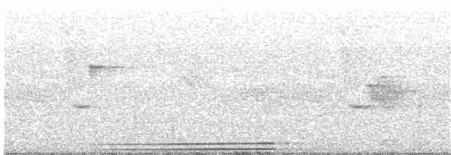 Трагопан сірогрудий - ML345040301