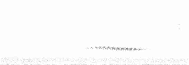 Fan-tailed Cuckoo - ML345043781