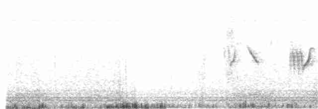 pěvuška skalní (ssp. ocularis) - ML345059871