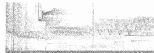 Cerulean Warbler - ML345097681