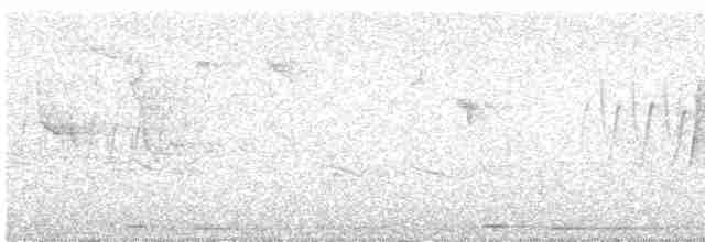 Common Cuckoo - ML345166661