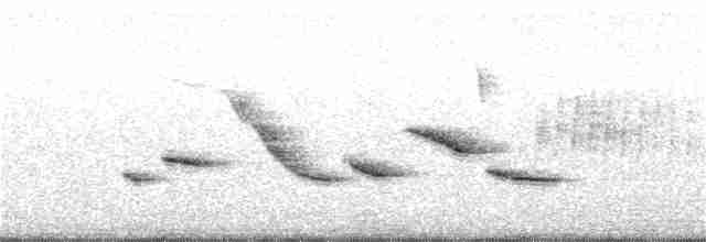 Chihuahuan Meadowlark - ML345169451