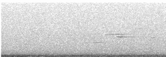 Pine Warbler - ML345176501