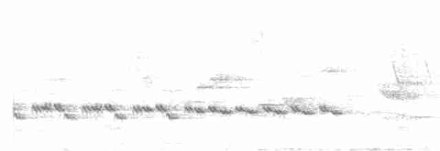 Mönchsgrasmücke - ML345289221